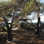 بيت للعطل Grandpa Mate House *