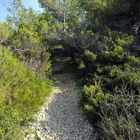 Grandpa Mate House בית נופש