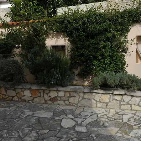 Grandpa Mate House Dragove