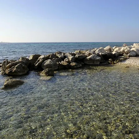 Grandpa Mate House *