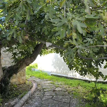 Grandpa Mate House 펜션 *