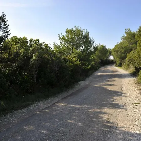 Grandpa Mate House Dragove