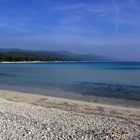 Grandpa Mate House Dragove