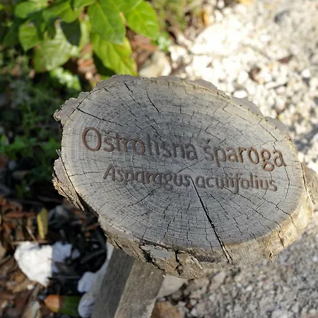 Grandpa Mate House Σπίτι διακοπών *