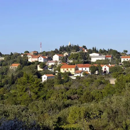 Grandpa Mate House Dragove