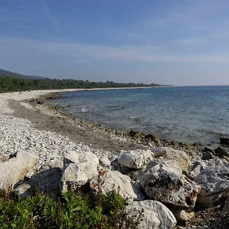 Grandpa Mate House 펜션