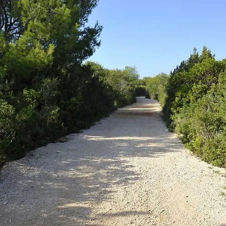 Grandpa Mate House 펜션 Dragove