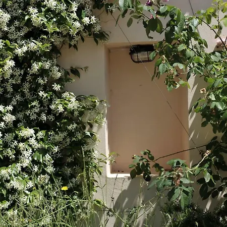 Grandpa Mate House *