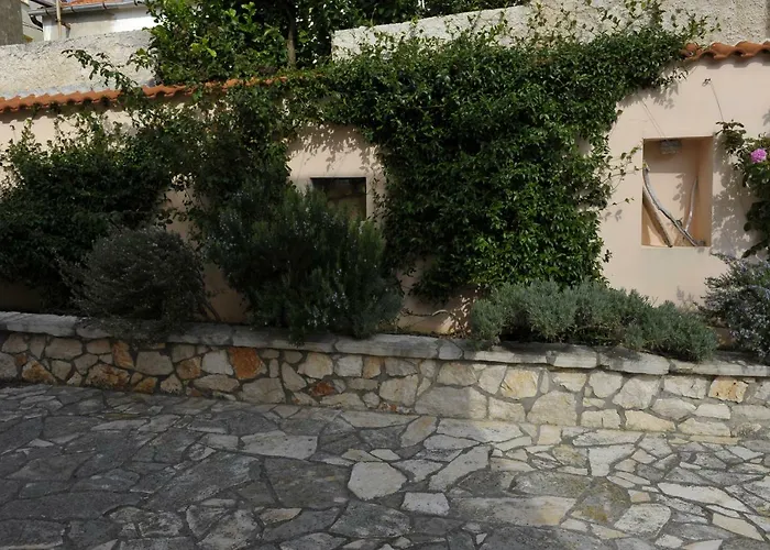 Grandpa Mate House Dragove