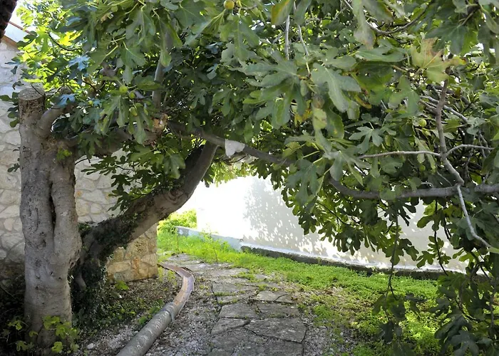 Grandpa Mate House Dom wakacyjny *