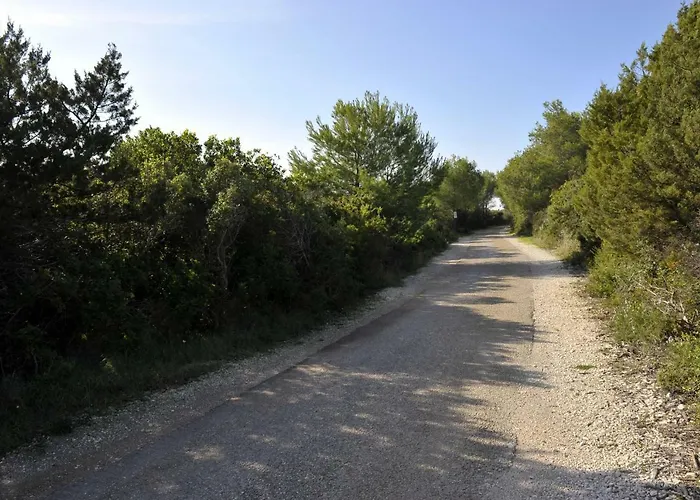 Grandpa Mate House Dragove