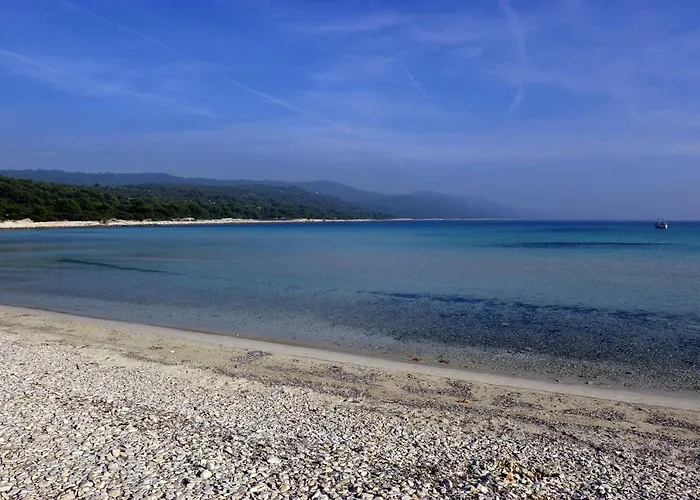 Grandpa Mate House Dragove