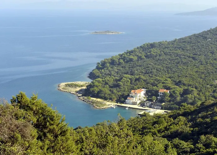 Grandpa Mate House Dragove