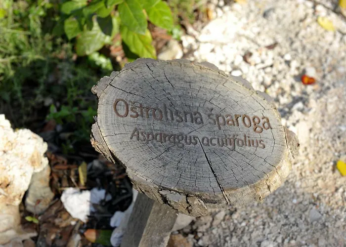 Grandpa Mate House Dom wakacyjny *