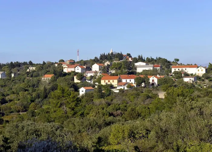 Grandpa Mate House Dragove