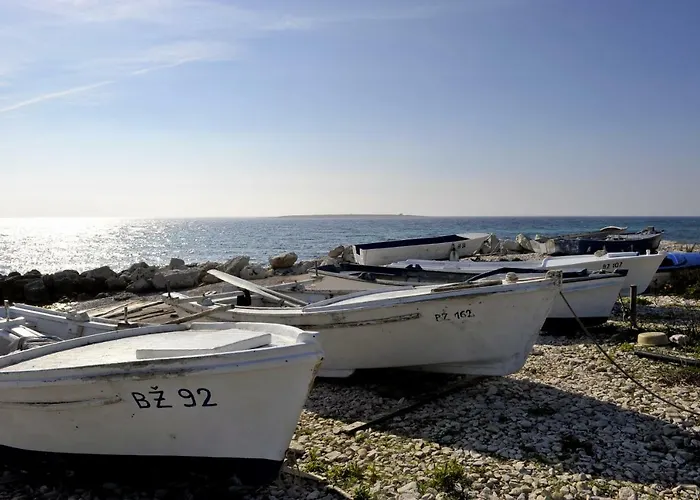 Grandpa Mate House Dragove