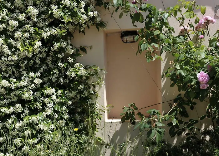 Grandpa Mate House *